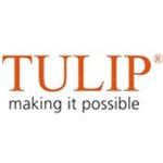 Tulip Telecom appoints advisor to raise fresh funds to repay outstanding FCCBs