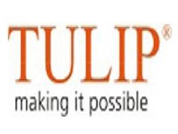Tulip Telecom raises $50M through FCCB issue