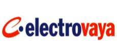 Tata Motors sells majority stake in Norwegian cleantech engineering firm to Electrovaya