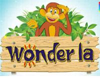 Wonderla Holidays seeks to raise over $33M in biggest hospitality IPO since 2009