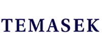 Temasek launches new private equity co-investment vehicle