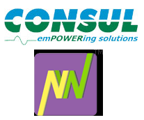 Peepul Capital-controlled UPS maker Consul Consolidated merges with Neowatt Energy