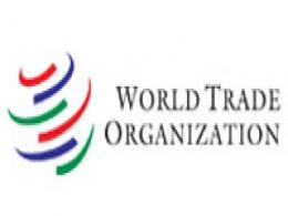 WTO rules in India''s favour in steel dispute with US