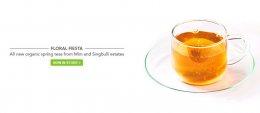 Teabox raises $6M in Series A from JAFCO Asia, Accel, Keystone, Dragoneer