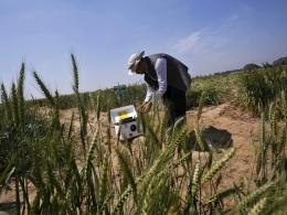IMD predicts below normal monsoon in 2015, inflation may rise