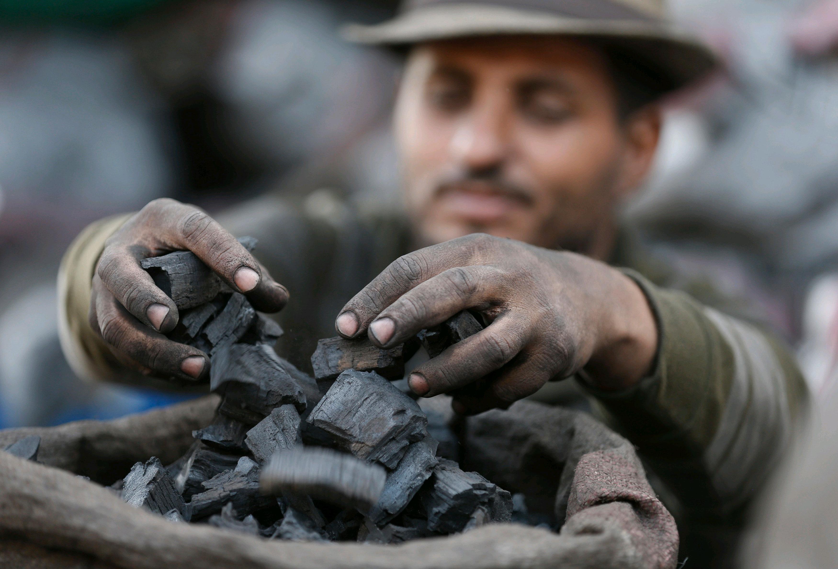Coal auction unlocks $64B