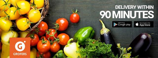 Online marketplace for local grocery delivery Grofers raises $35M in Series B round