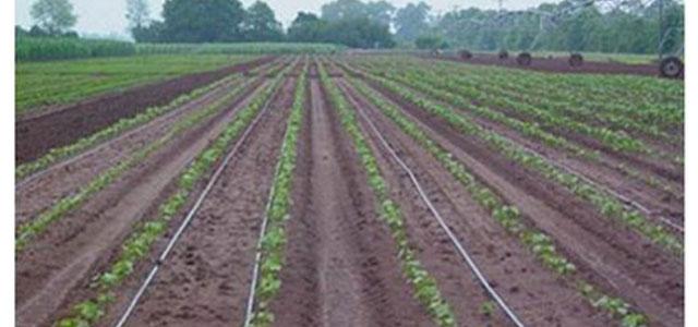 Jain Irrigation’s agri-focused NBFC raises $18M from Mandala Capital