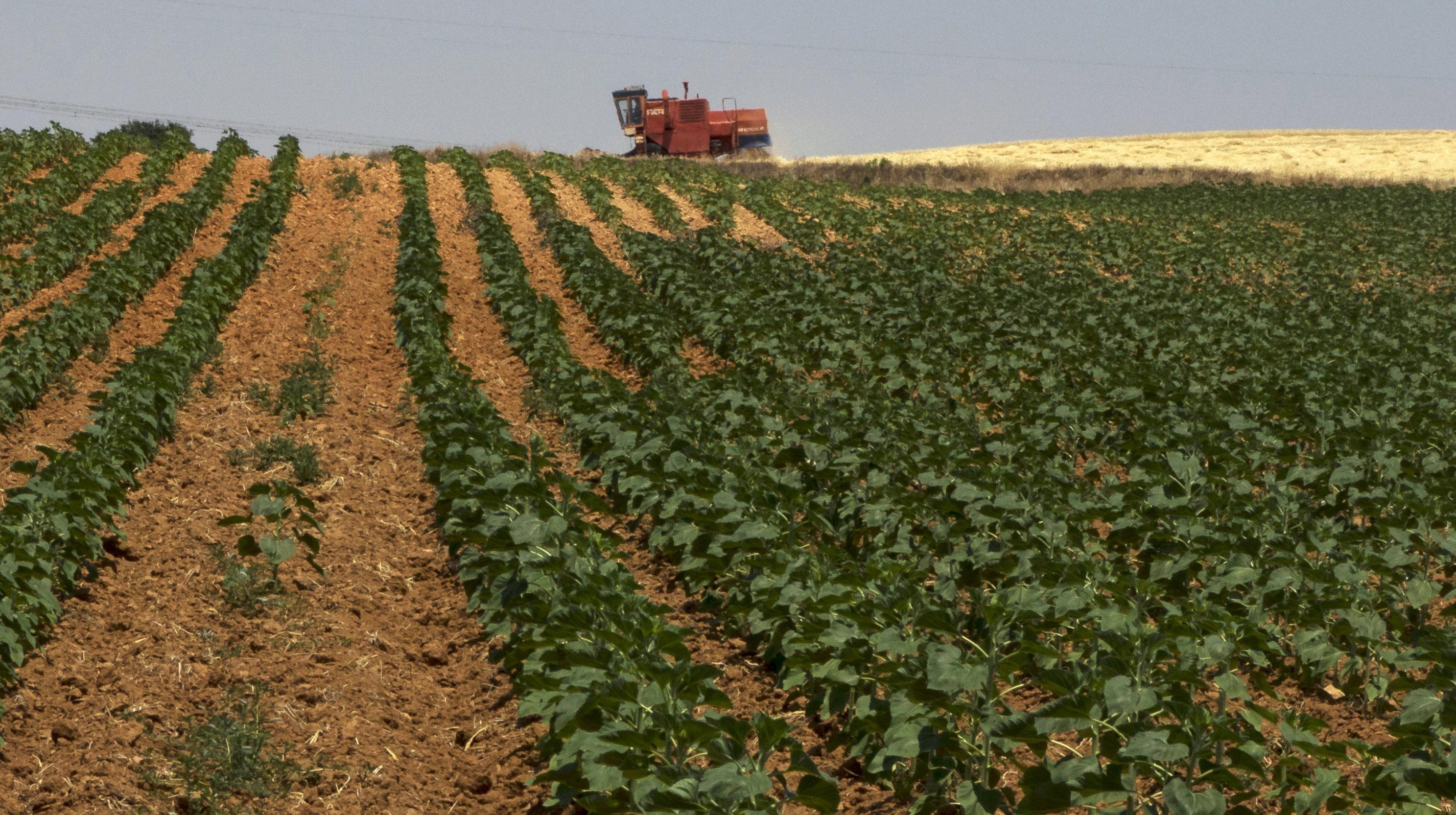 Government to spend around $8B to boost irrigation, online national agricultural market