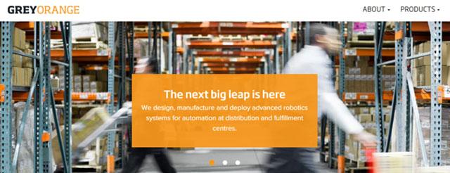 Warehouse robotics startup GreyOrange raises $30M more from Tiger Global and Blume Ventures