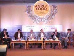 Food firms should focus on organic products, say industry experts