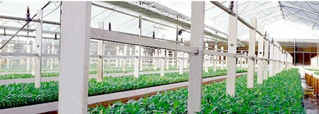 Jain Irrigation to raise around $103M from Mandala Capital