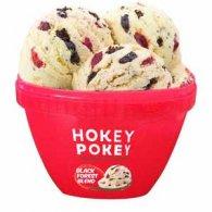 How Hokey Pokey ice-cream maker tweaked product strategy to drive growth
