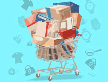 Another Flipkart backer bets on ShopClues as GIC leads Series E round