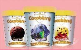 Legal tangle curbs growth of frozen-yogurt chain Cocoberry