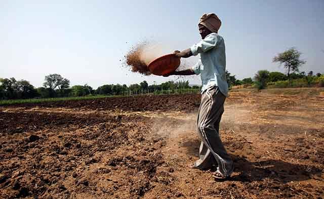 Govt seeks help from Naveen Jindal-promoted JSPL to salvage Talcher fertiliser plant