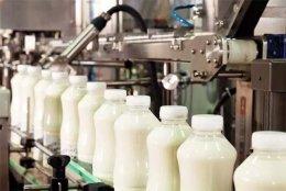 Parag Milk IPO pulls through after extended period