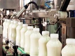 Parag Milk IPO gets off to slow start