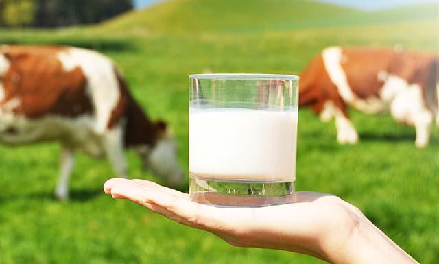 Parag Milk raises $52M from anchor investors