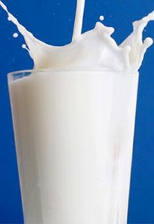 Parag Milk jumps after tepid stock market debut