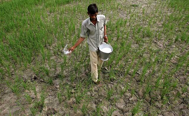 India set to import first tranche of urea at $227 per tonne; may save $300 million in FY17