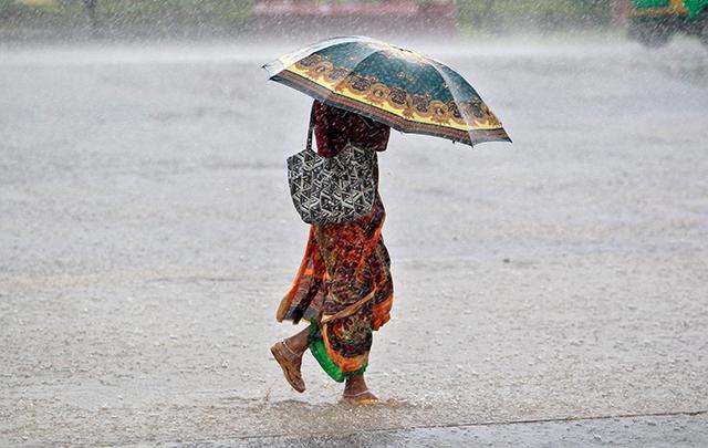 Weather agency predicts normal to excess rainfall this year