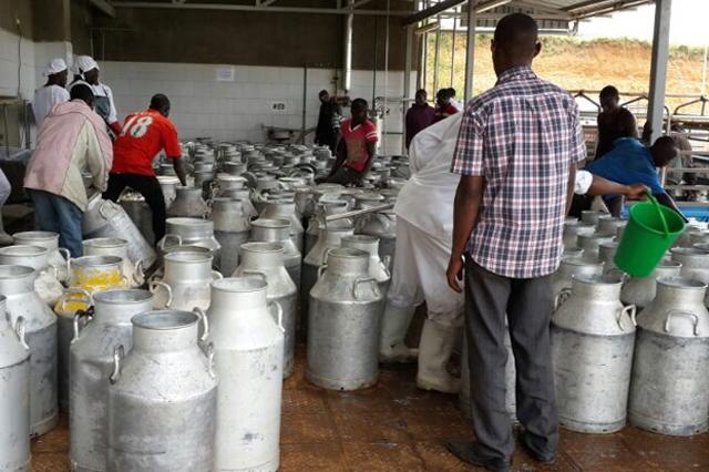 Shreedhar Milk raises growth capital from foreign investors