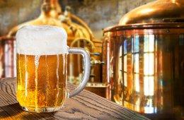 Geist craft beer maker raises fresh funding