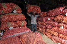 Zephyr Peacock to invest in potato seeds firm Utkal Tubers
