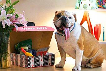 HNIs invest in pet products portal Heads Up For Tails