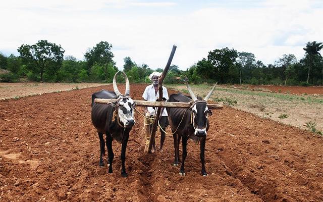 Jain Irrigation acquires Australian agri-tech firm Observant