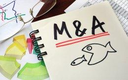 Govt eases M&A deal norms for CCI approval