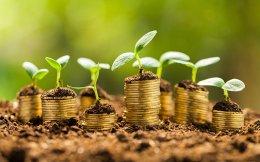 Inditrade Capital in talks to raise funds for agri-commodity business