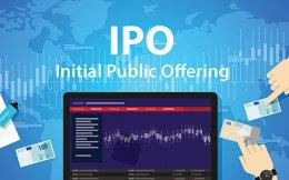 Guess who took maximum advantage of the $10-bn IPO rush this year?