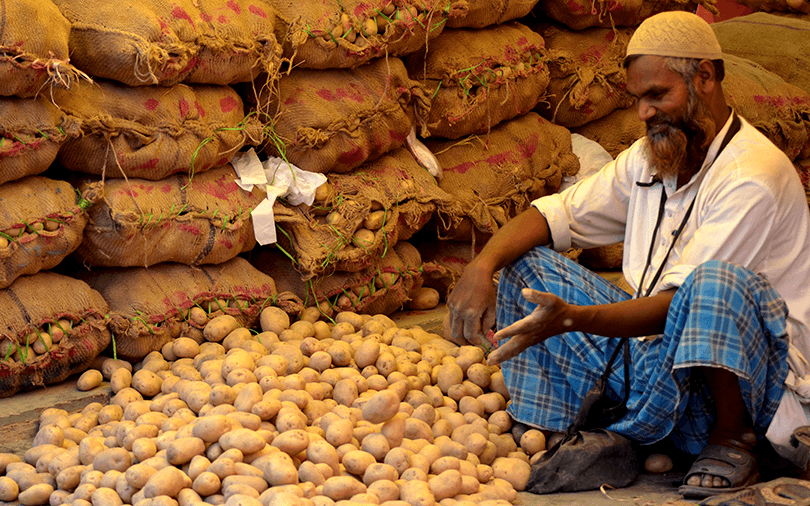 Zephyr, CapAleph invest in potato seeds firm Utkal Tubers
