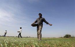Govt seeks to mop up $83 mn via National Fertilizers divestment