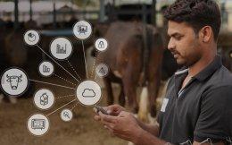 Omnivore-backed IoT solutions firm Stellapps secures Series A funding