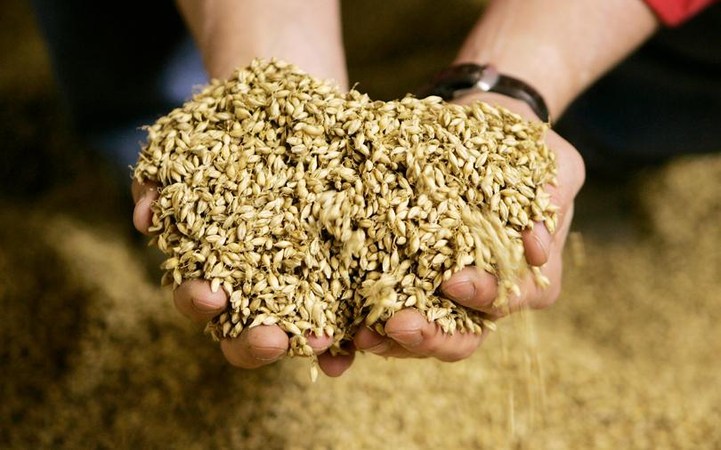 French malt giant Soufflet close to big India acquisition