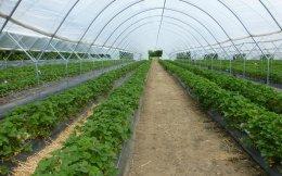 Farming startup Farmizen raises seed round
