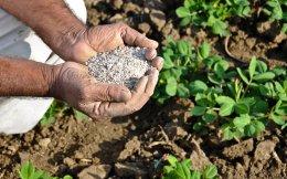 Tata Chemicals in talks to sell phosphatic fertiliser biz to Indorama