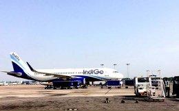 IndiGo pulls out of race to acquire Air India