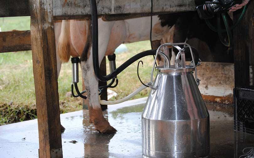 Parag Milk buys Danone’s dairy facility in Haryana