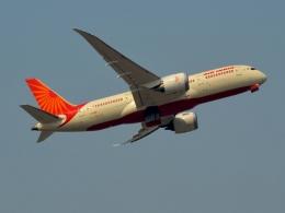 Govt to review Air India stake sale plan soon