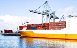 Shreyas Shipping associate Avana Logistek files for IPO