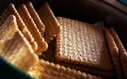 Biscuits maker Anmol Industries files for $110 mn IPO
