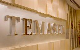 Temasek makes another partial exit from agri-business firm