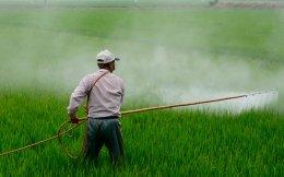 Grasim to sell fertiliser business to Indorama for $355 mn