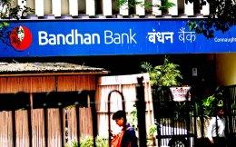 RBI restricts GIC-backed Bandhan Bank from opening new branches, caps CEO pay