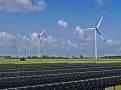 Grapevine: TPG looks to bet on green energy firm; Tribe Capital plans India fund
