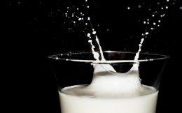 All Out co-founder Anil Arya to acquire dairy-tech startup Mr. Milkman